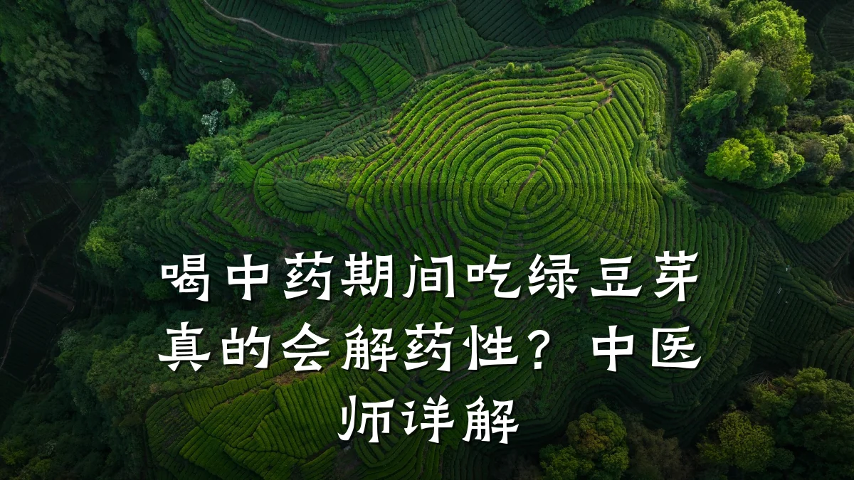 喝中药期间吃绿豆芽真的会解药性?中医师详解