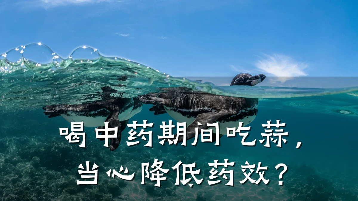 喝中药期间吃蒜,当心降低药效?