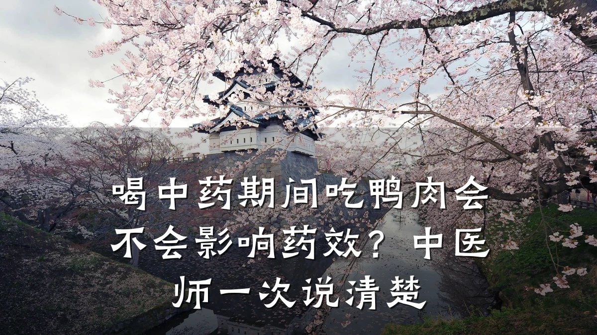 喝中药期间吃鸭肉会不会影响药效?中医师一次说清楚