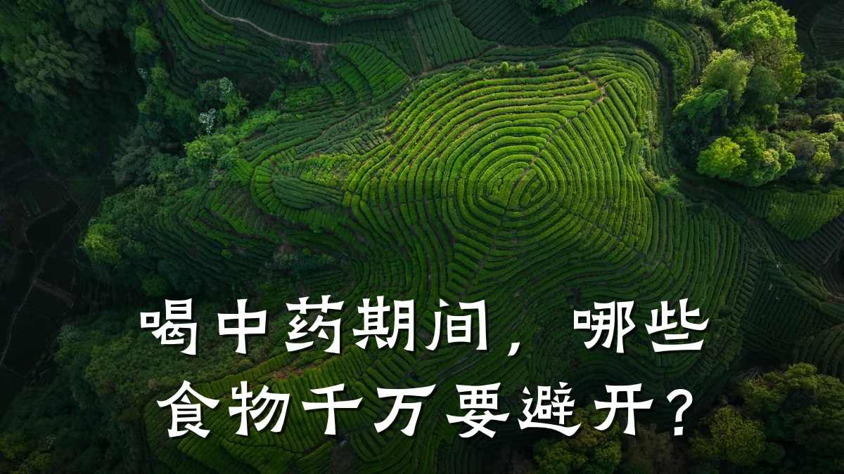 喝中药期间,哪些食物千万要避开?