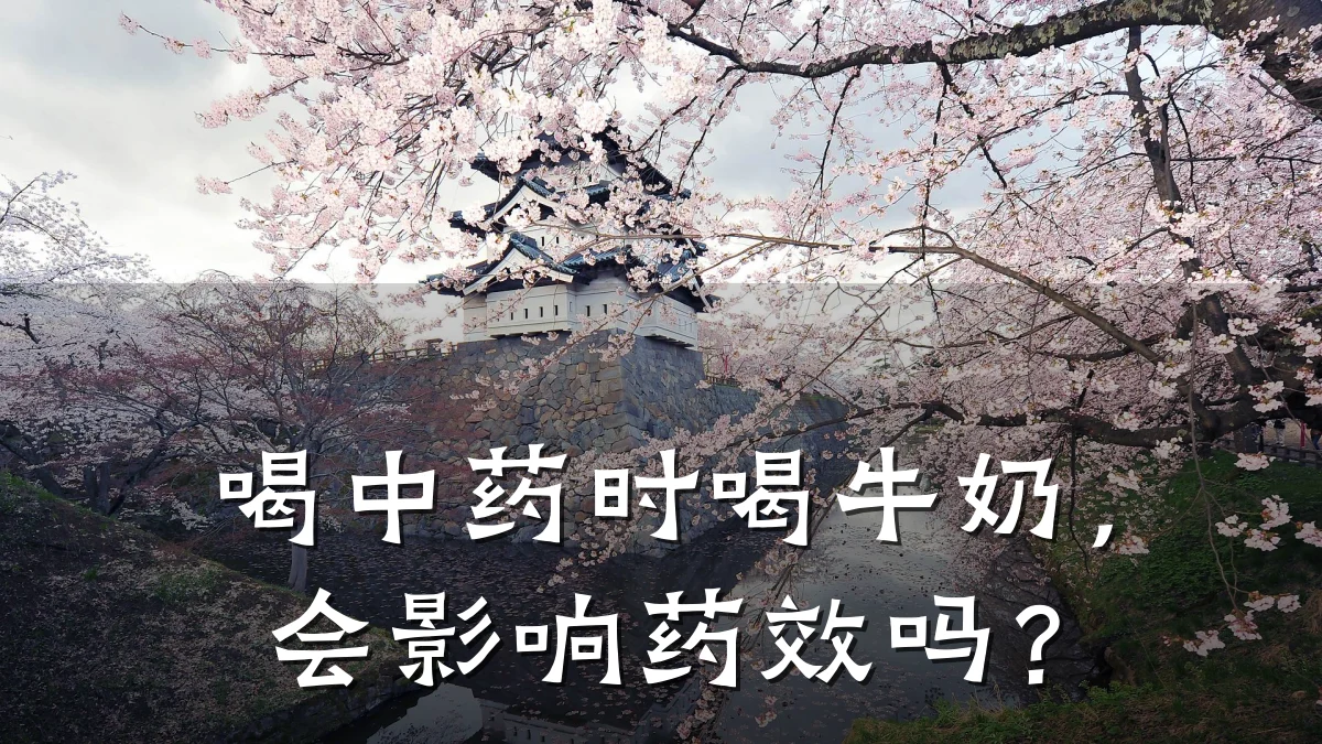 喝中药时喝牛奶，会影响药效吗？