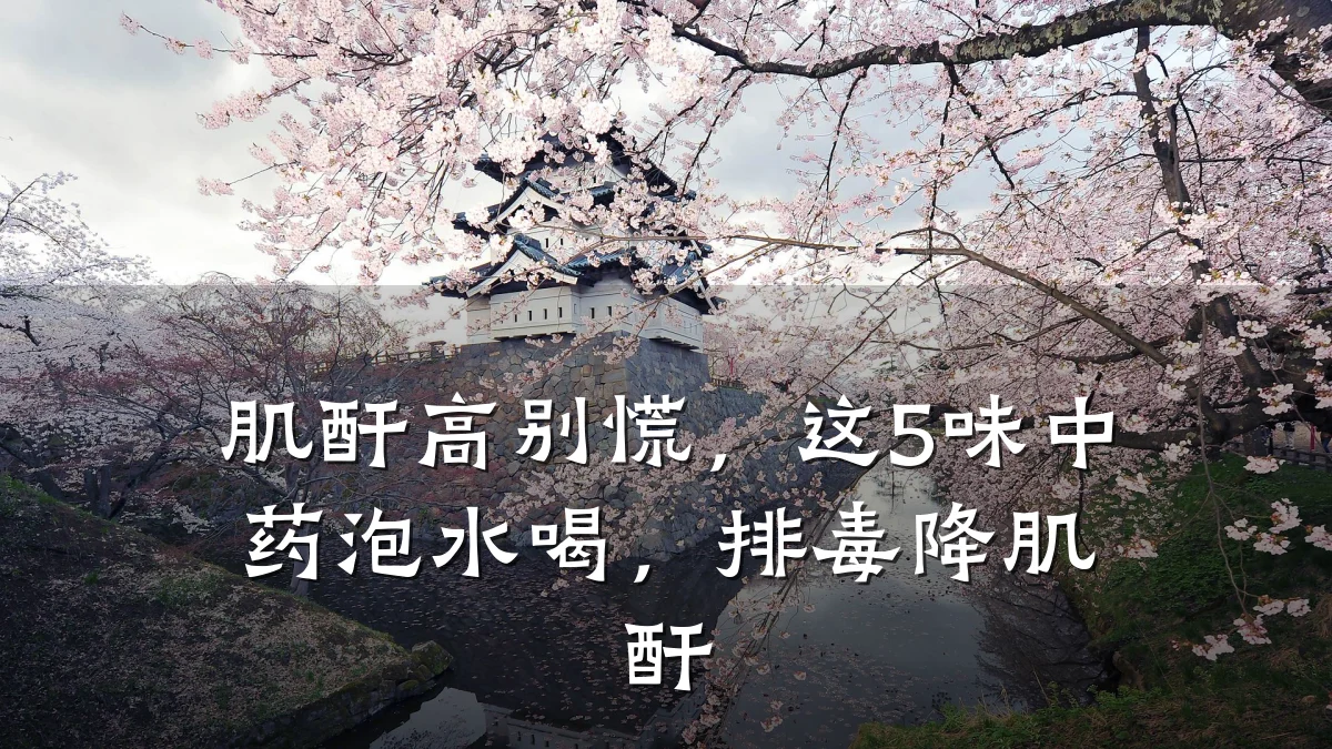 肌酐高别慌,这5味中药泡水喝,排毒降肌酐