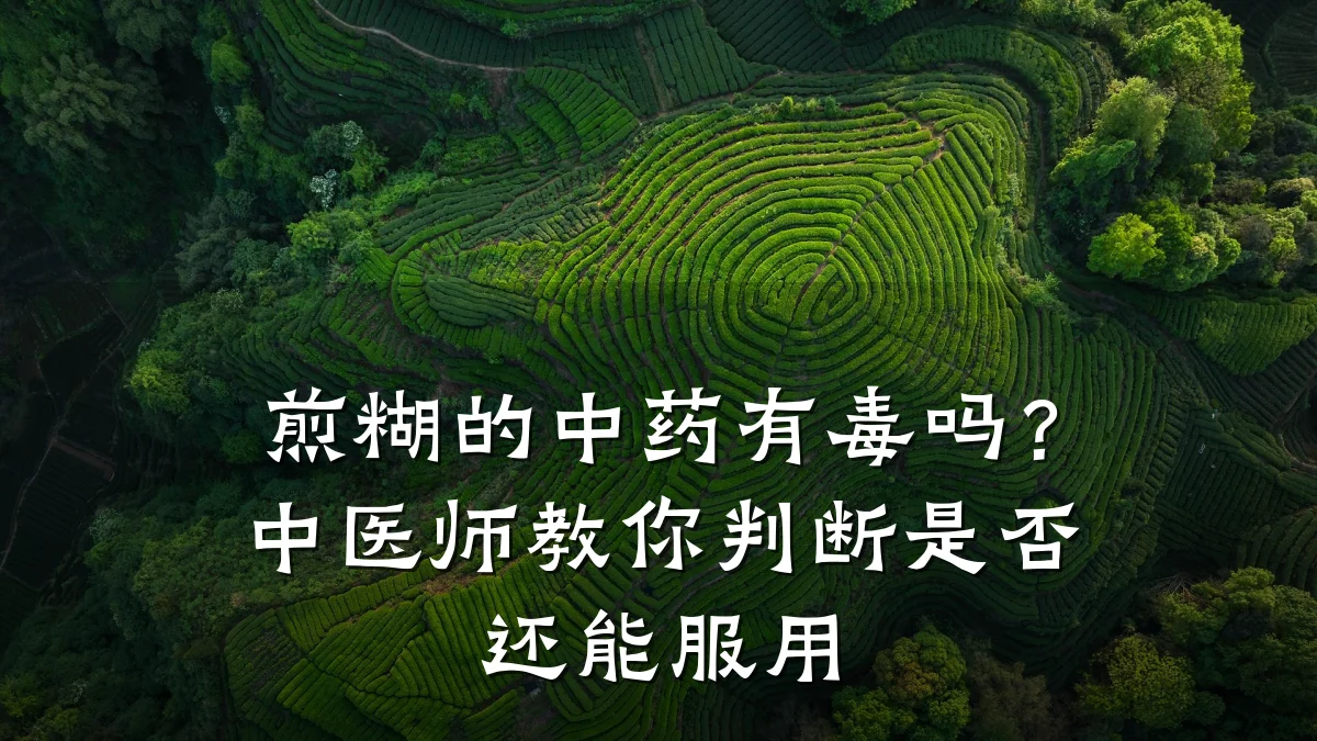 煎糊的中药有毒吗?中医师教你判断是否还能服用