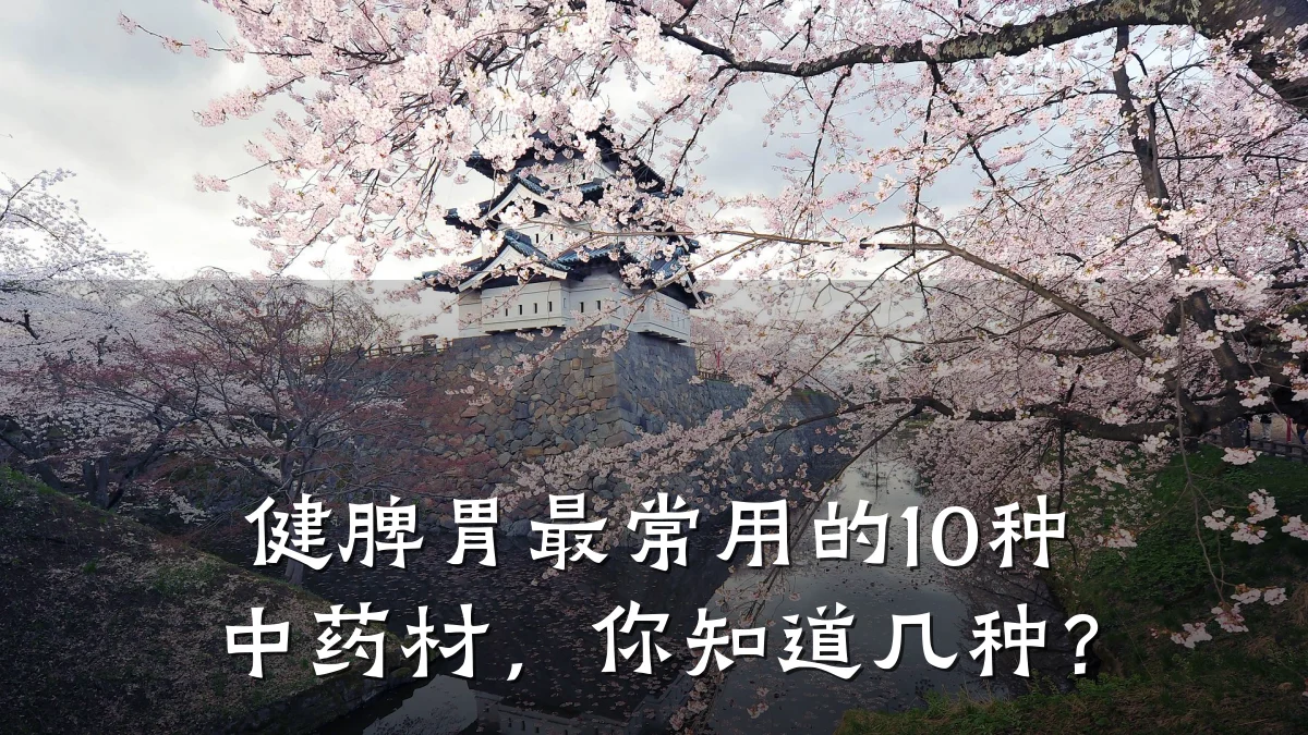 健脾胃最常用的10种中药材，你知道几种？