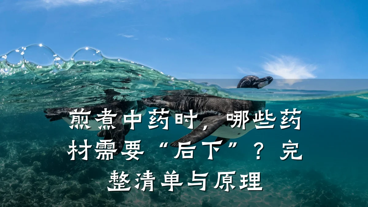 煎煮中药时，哪些药材需要“后下”？完整清单与原理