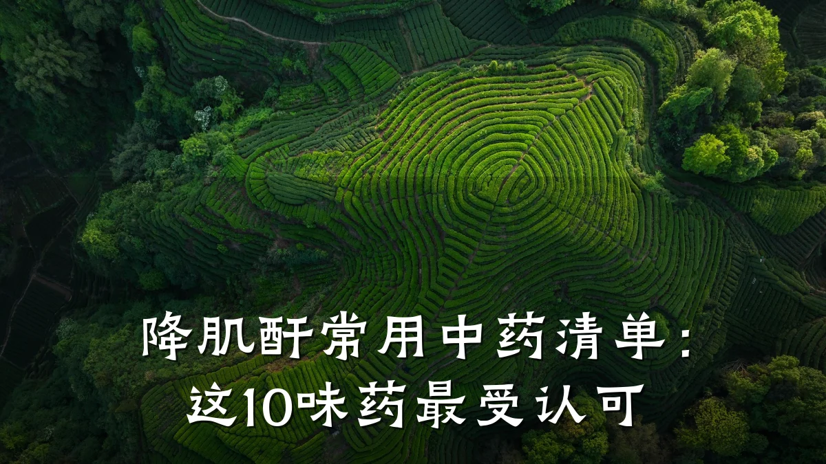 降肌酐常用中药清单:这10味药最受认可