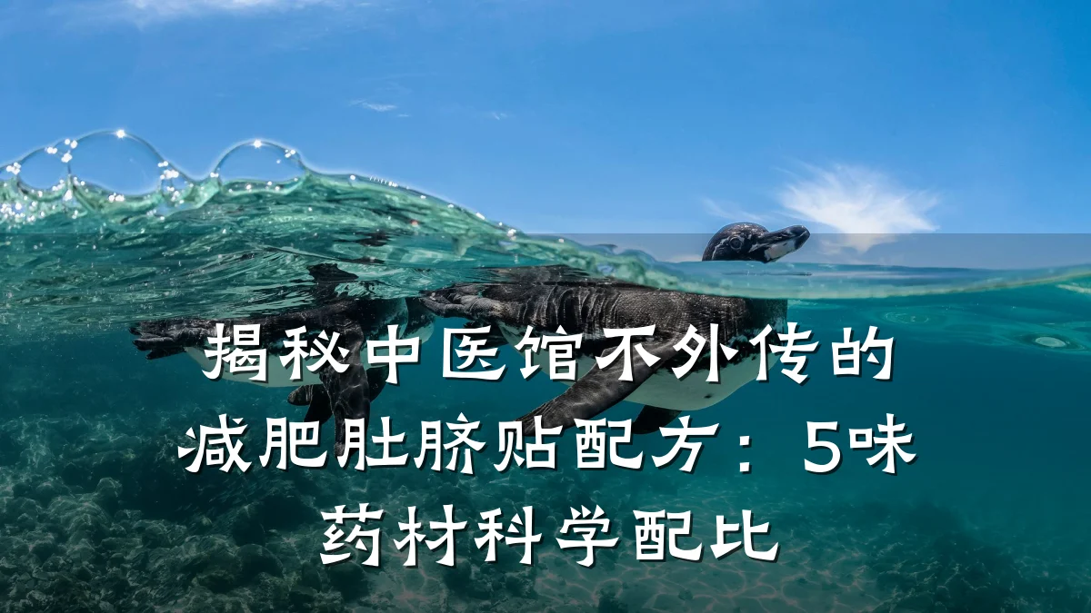 揭秘中医馆不外传的减肥肚脐贴配方:5味药材科学配比