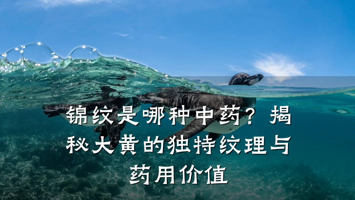 锦纹是哪种中药？揭秘大黄的独特纹理与药用价值