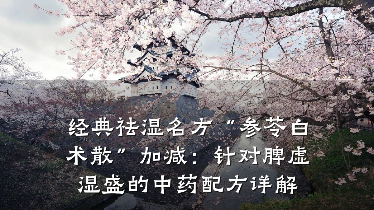 经典祛湿名方“参苓白术散”加减:针对脾虚湿盛的中药配方详解