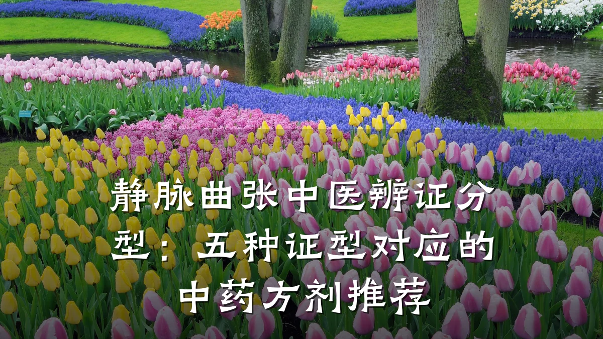 静脉曲张中医辨证分型:五种证型对应的中药方剂推荐