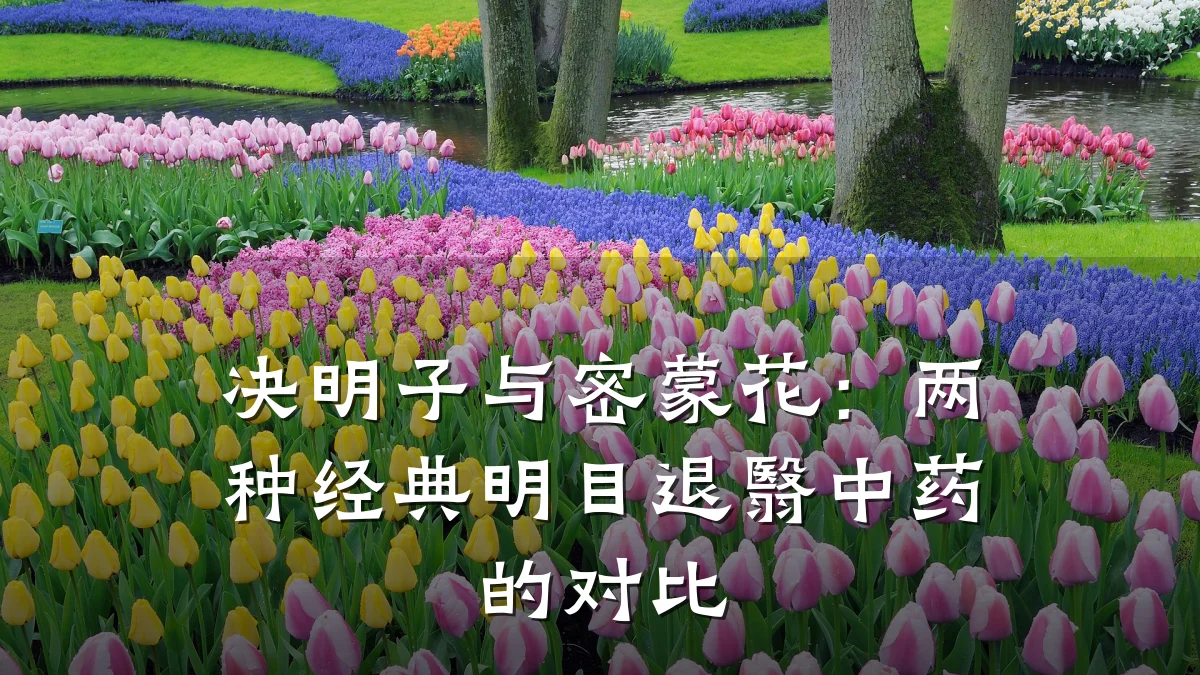 决明子与密蒙花:两种经典明目退翳中药的对比