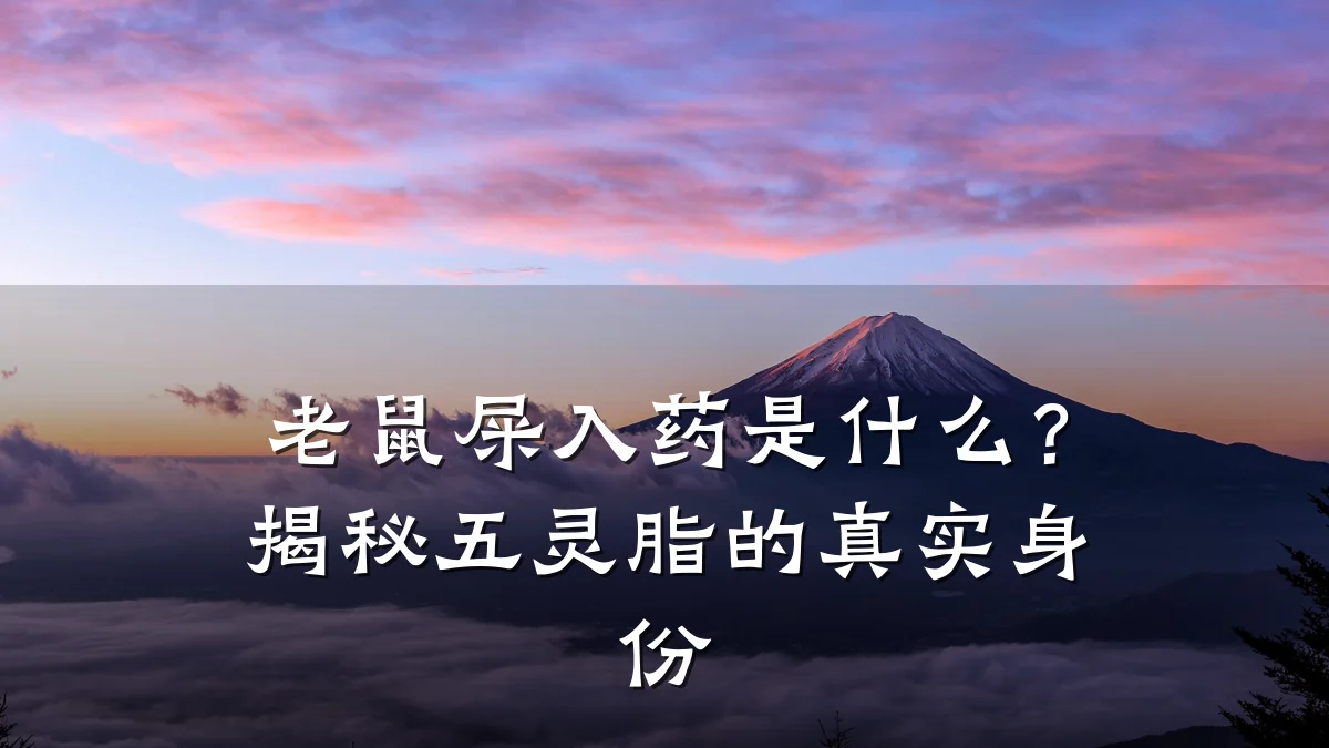 老鼠屎入药是什么?揭秘五灵脂的真实身份