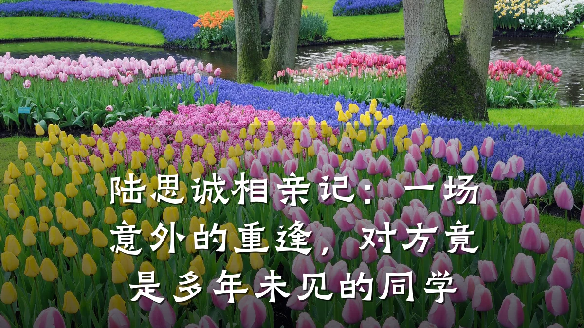 陆思诚相亲记：一场意外的重逢，对方竟是多年未见的同学