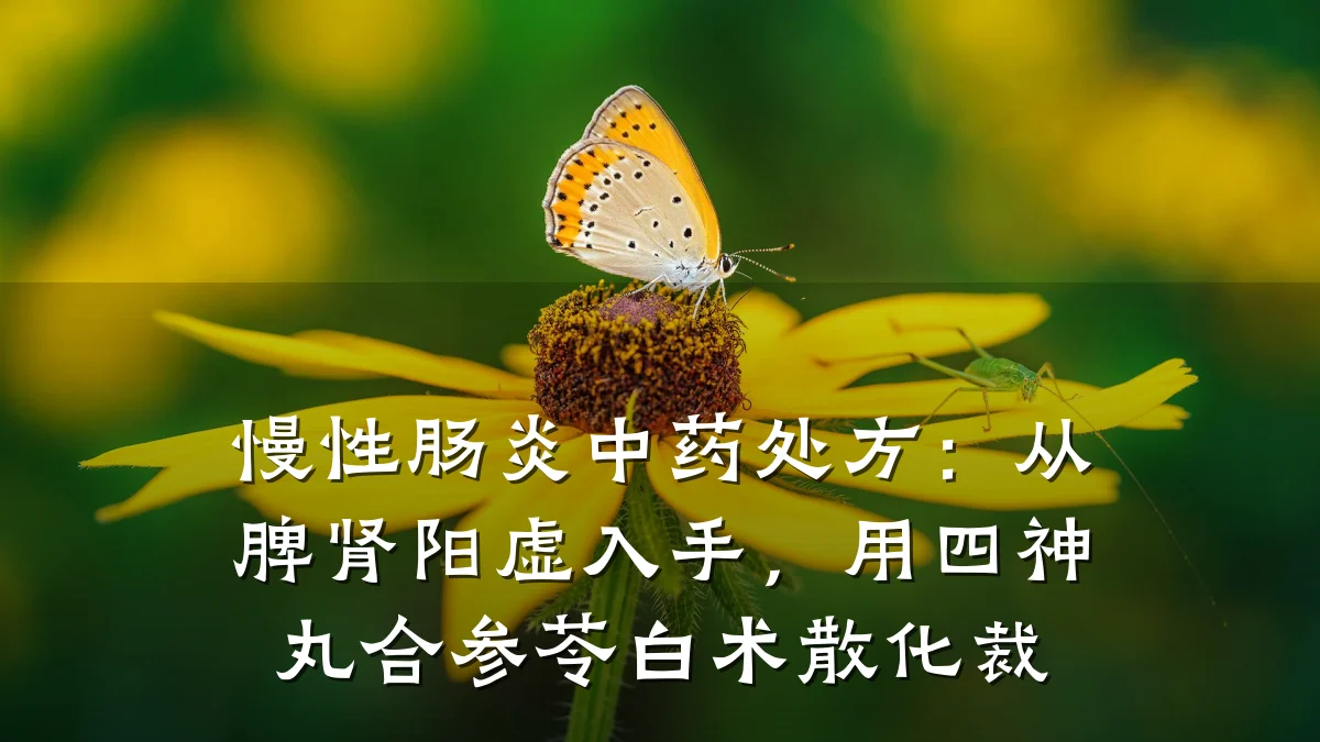 慢性肠炎中药处方:从脾肾阳虚入手,用四神丸合参苓白术散化裁