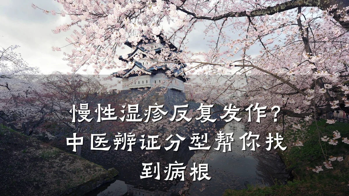 慢性湿疹反复发作?中医辨证分型帮你找到病根