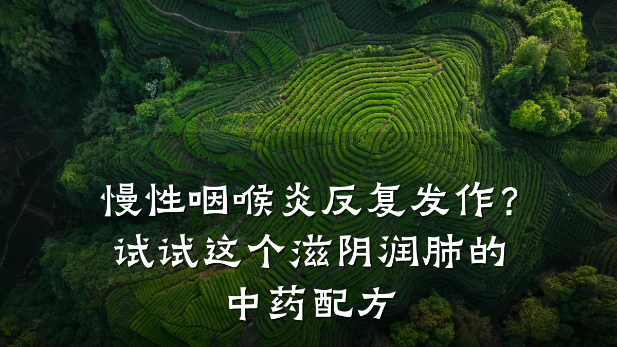 慢性咽喉炎反复发作？试试这个滋阴润肺的中药配方