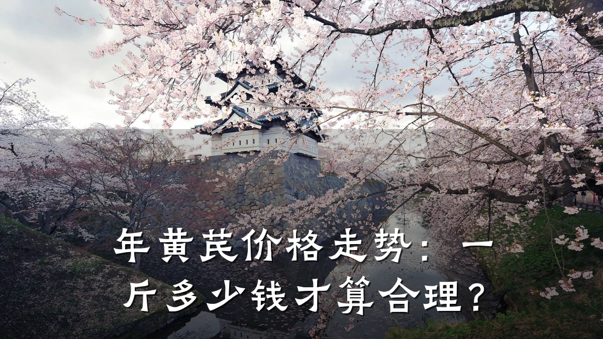 年黄芪价格走势:一斤多少钱才算合理?
