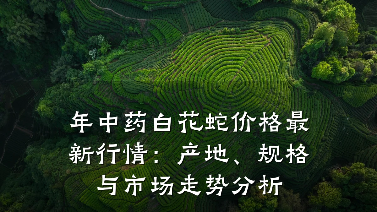 年中药白花蛇价格最新行情：产地、规格与市场走势分析