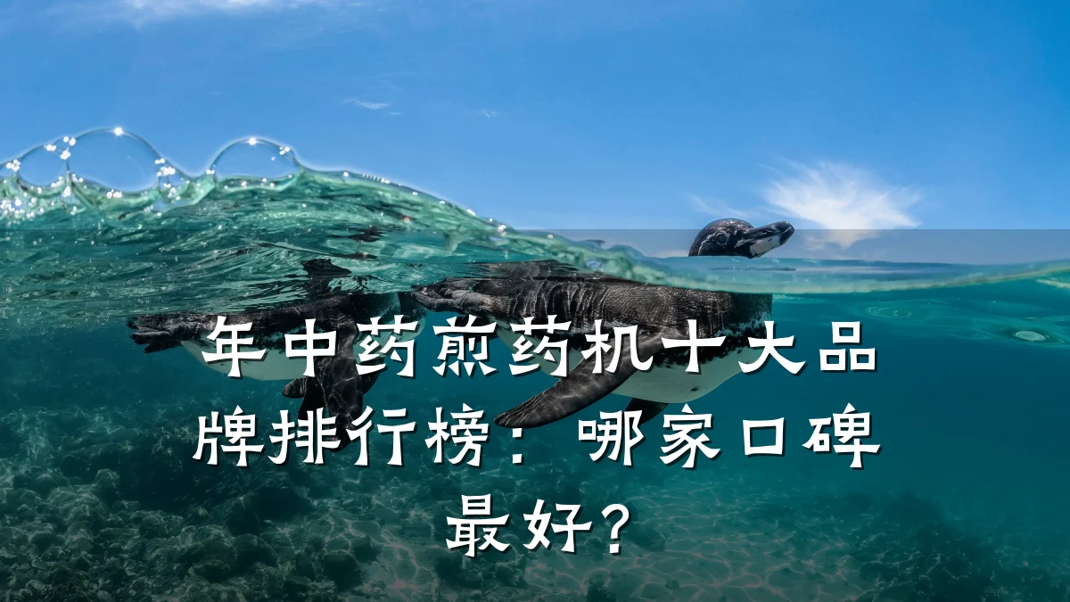 年中药煎药机十大品牌排行榜:哪家口碑最好?
