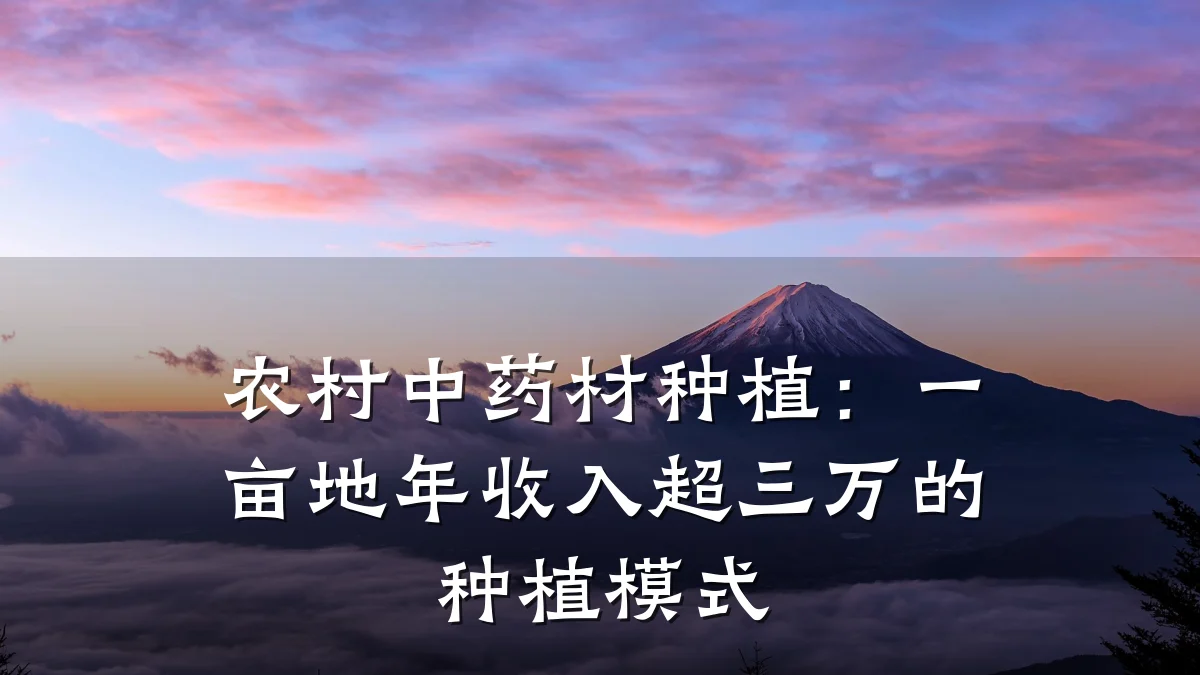 农村中药材种植：一亩地年收入超三万的种植模式