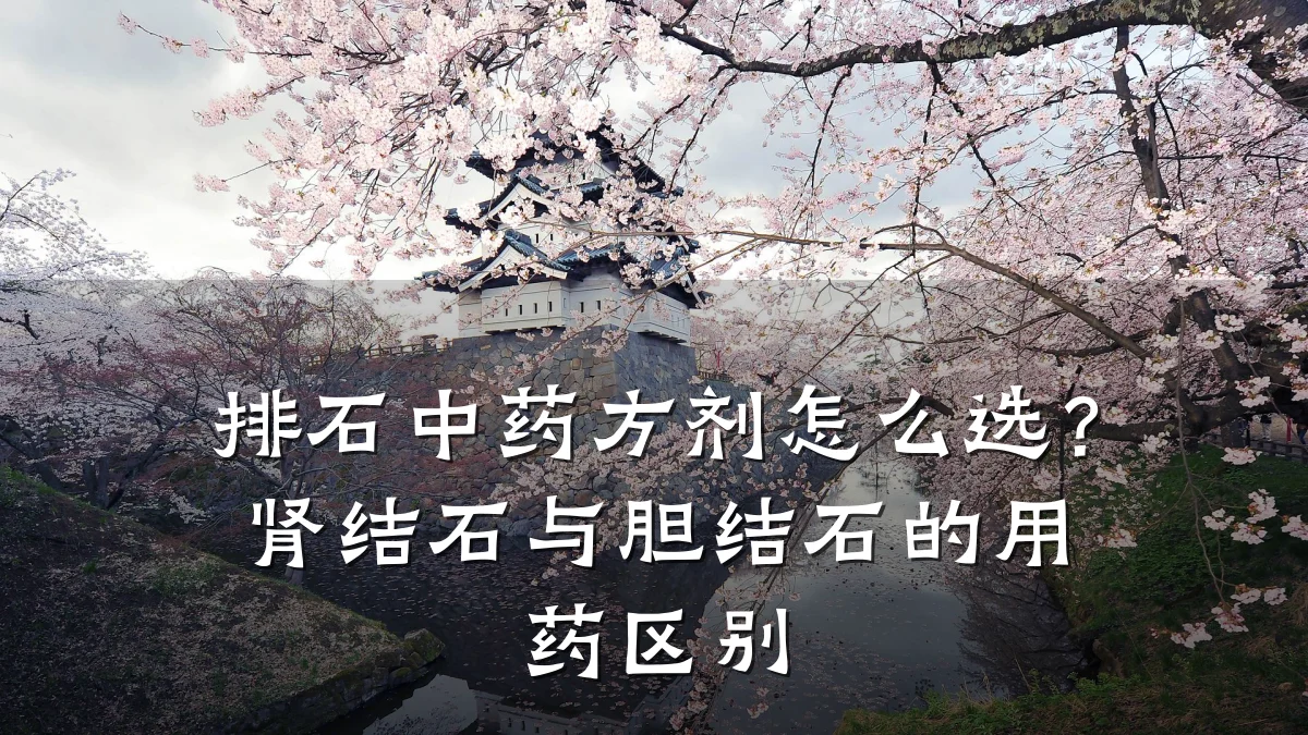 排石中药方剂怎么选?肾结石与胆结石的用药区别