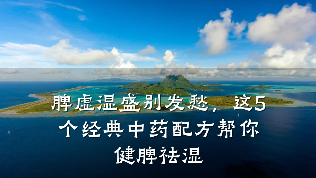 脾虚湿盛别发愁,这5个经典中药配方帮你健脾祛湿
