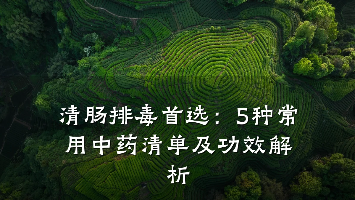 清肠排毒首选:5种常用中药清单及功效解析