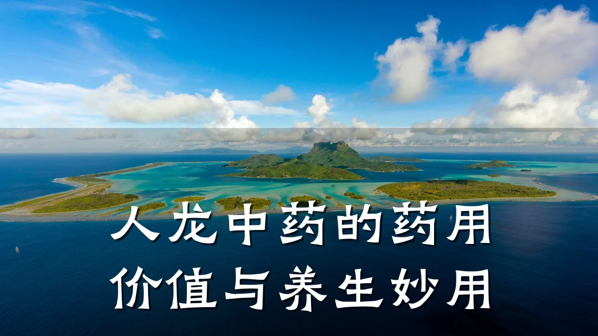 人龙中药的药用价值与养生妙用