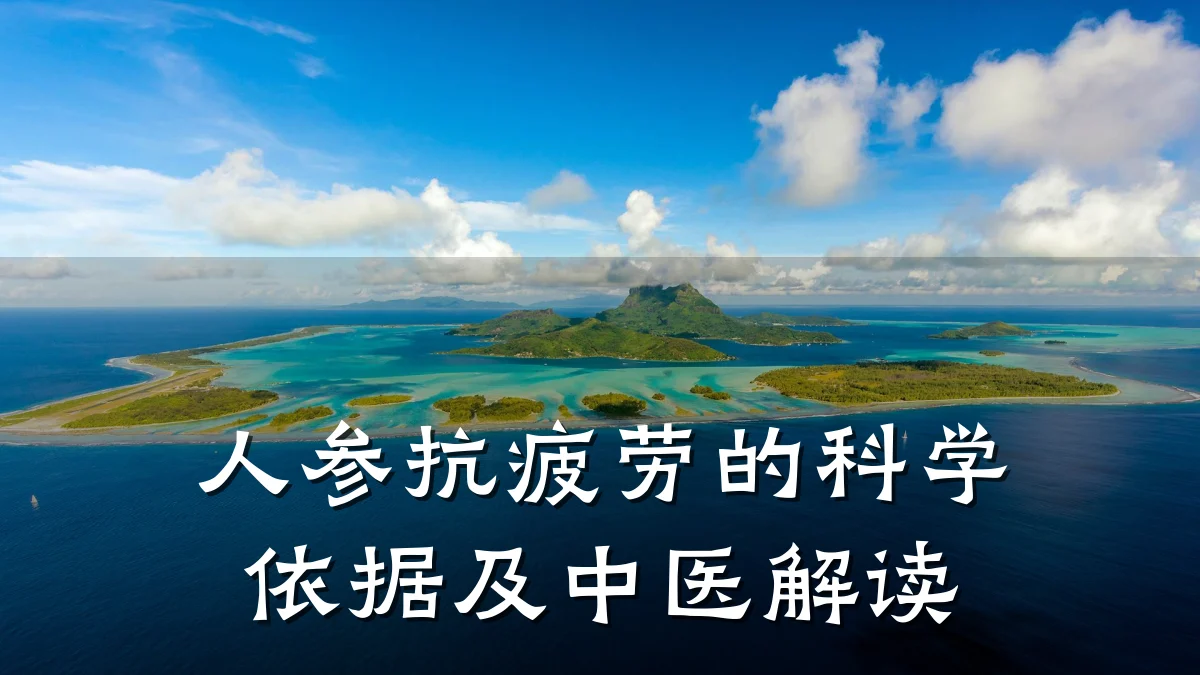 人参抗疲劳的科学依据及中医解读