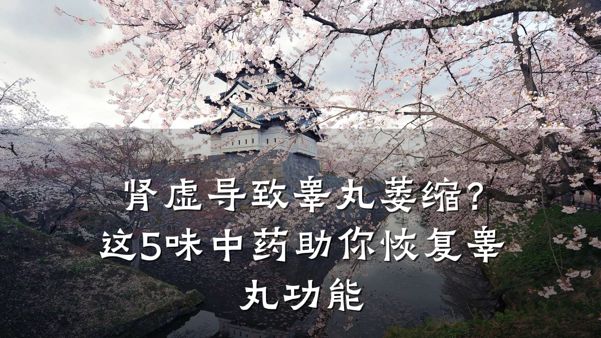 肾虚导致睾丸萎缩？这5味中药助你恢复睾丸功能