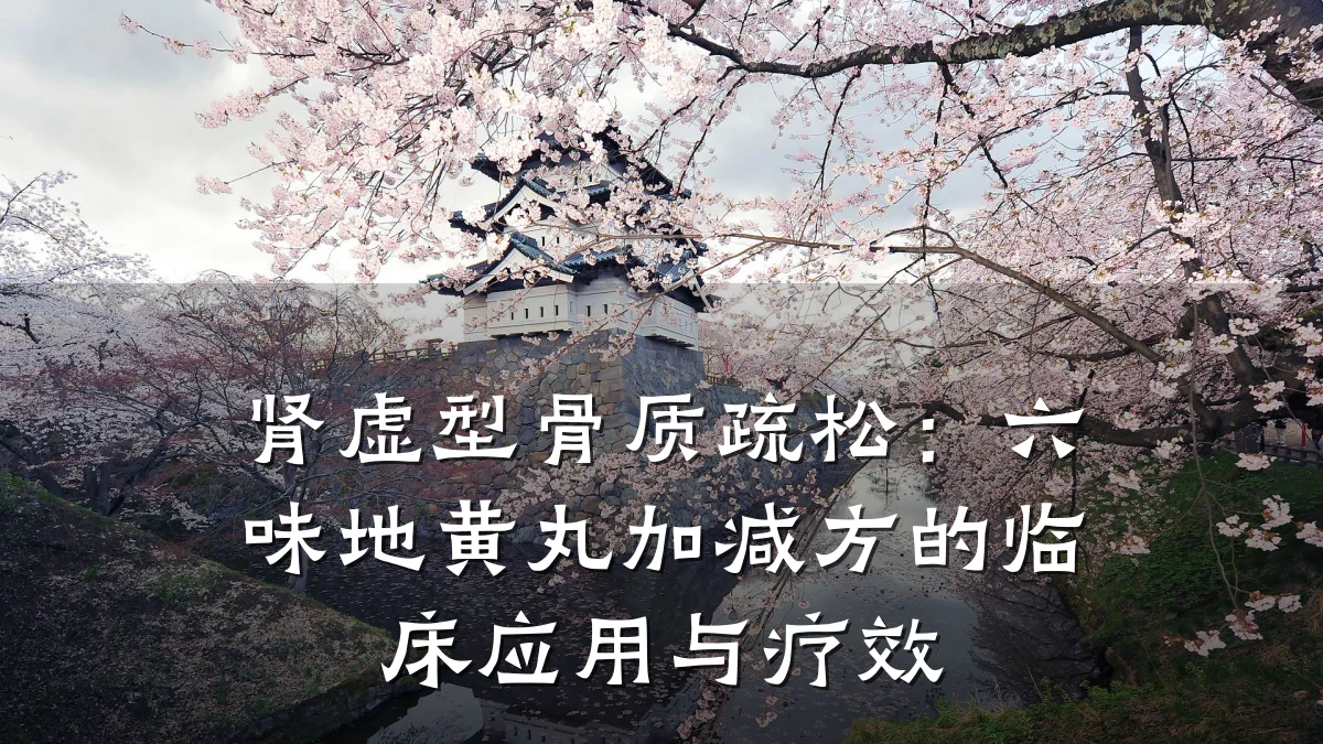 肾虚型骨质疏松:六味地黄丸加减方的临床应用与疗效