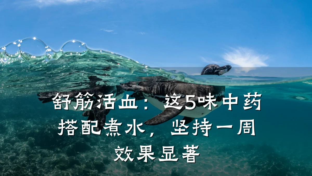 舒筋活血：这5味中药搭配煮水，坚持一周效果显著