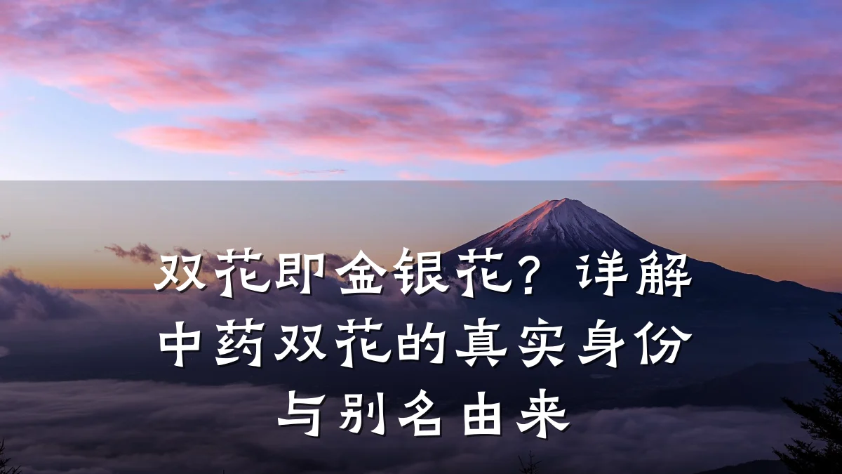 双花即金银花?详解中药双花的真实身份与别名由来