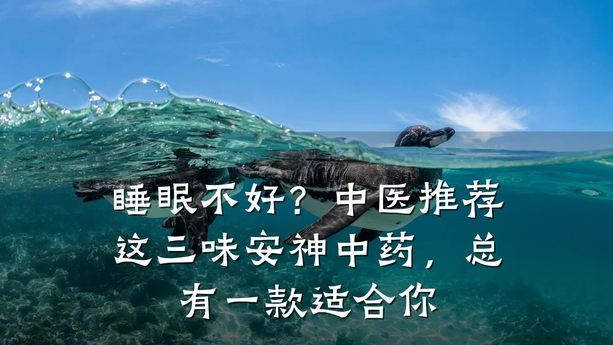 睡眠不好?中医推荐这三味安神中药,总有一款适合你
