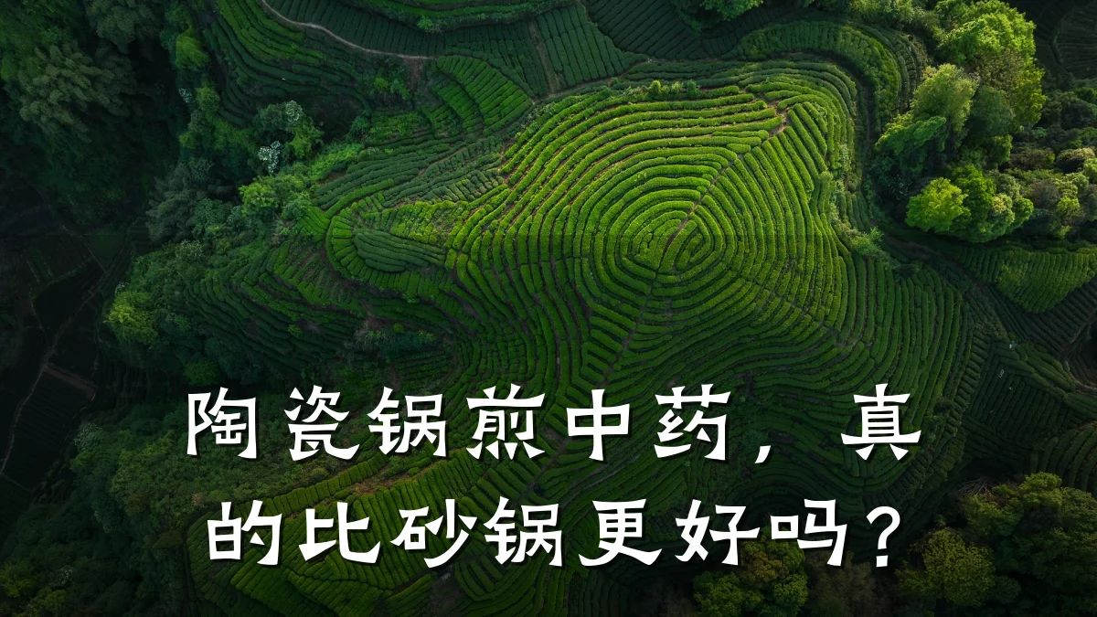 陶瓷锅煎中药，真的比砂锅更好吗？