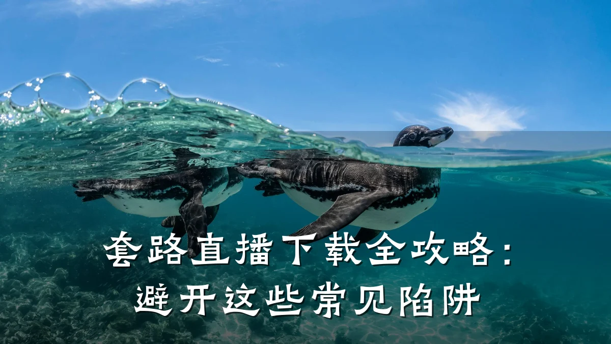 套路直播下载全攻略：避开这些常见陷阱
