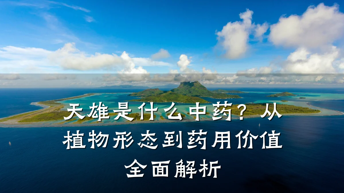 天雄是什么中药?从植物形态到药用价值全面解析