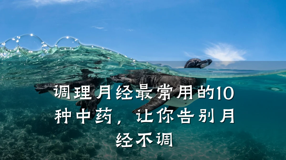 调理月经最常用的10种中药,让你告别月经不调