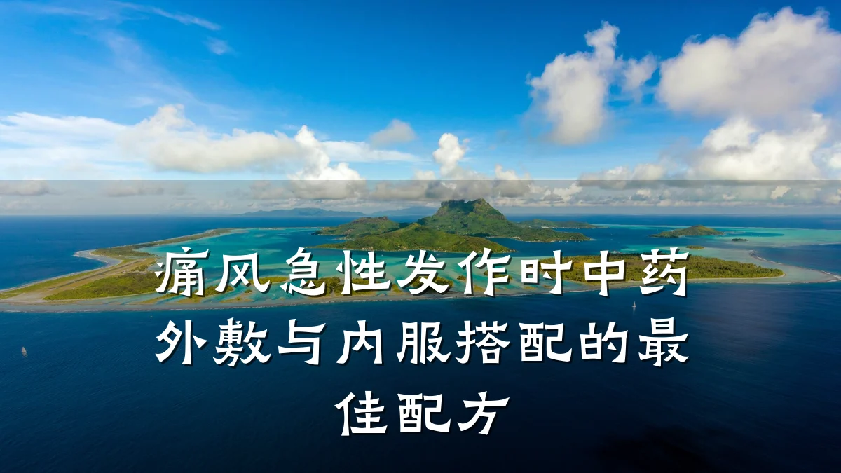 痛风急性发作时中药外敷与内服搭配的最佳配方