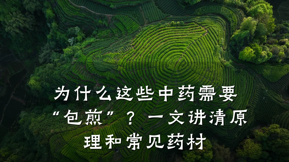 为什么这些中药需要“包煎”?一文讲清原理和常见药材