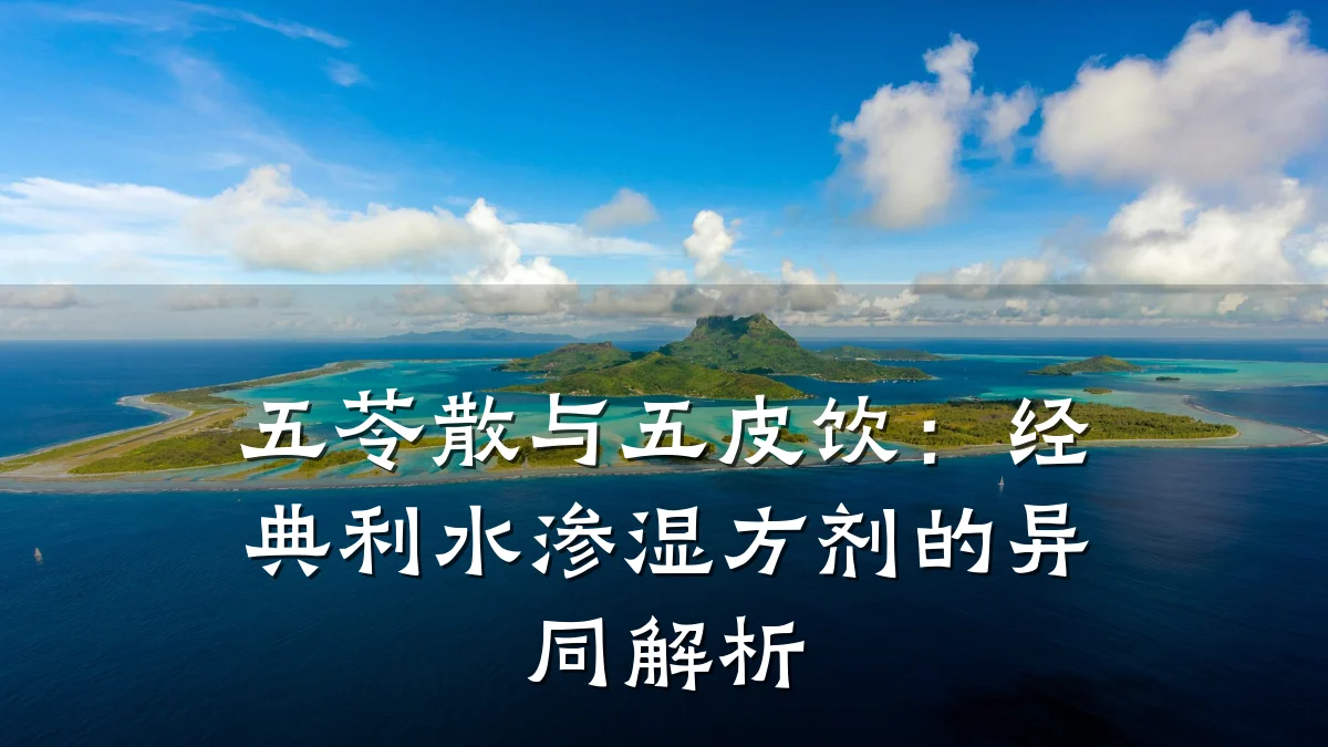 五苓散与五皮饮:经典利水渗湿方剂的异同解析