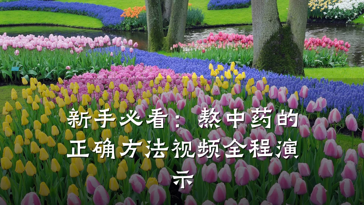 新手必看:熬中药的正确方法视频全程演示