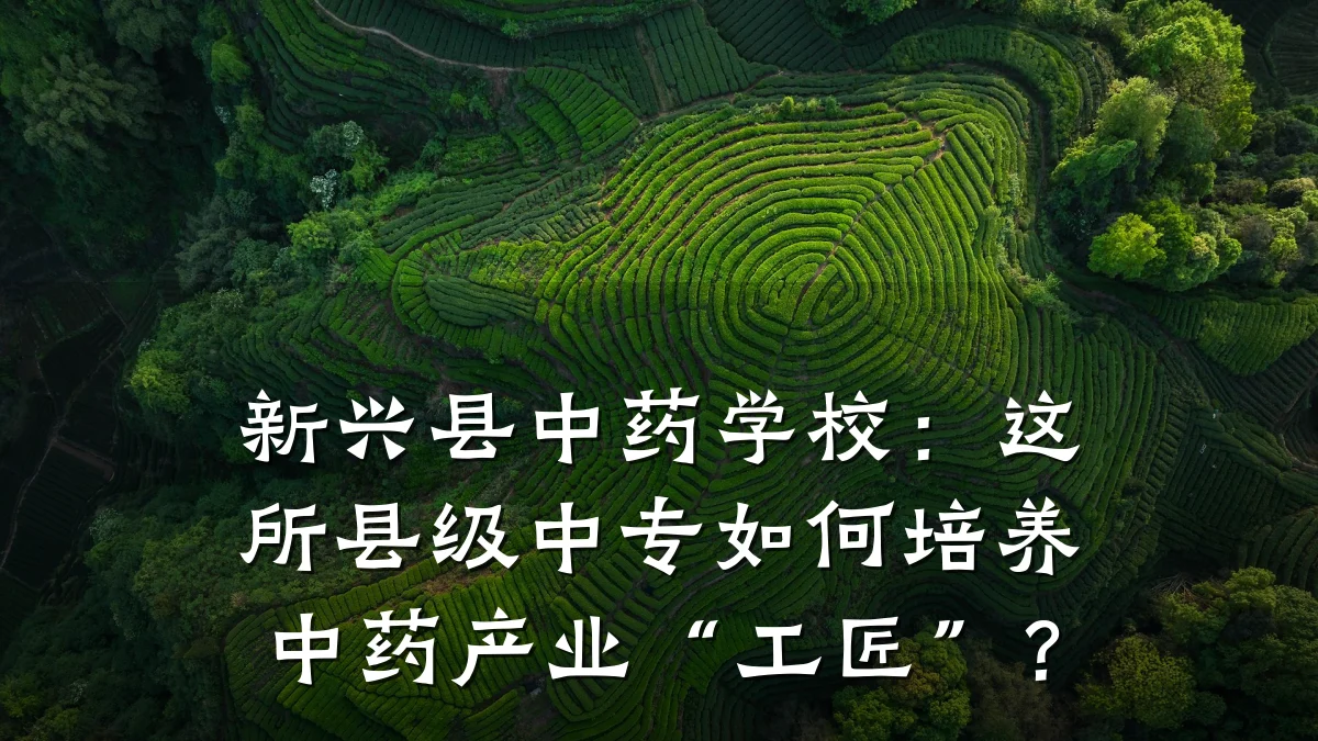 新兴县中药学校：这所县级中专如何培养中药产业“工匠”？