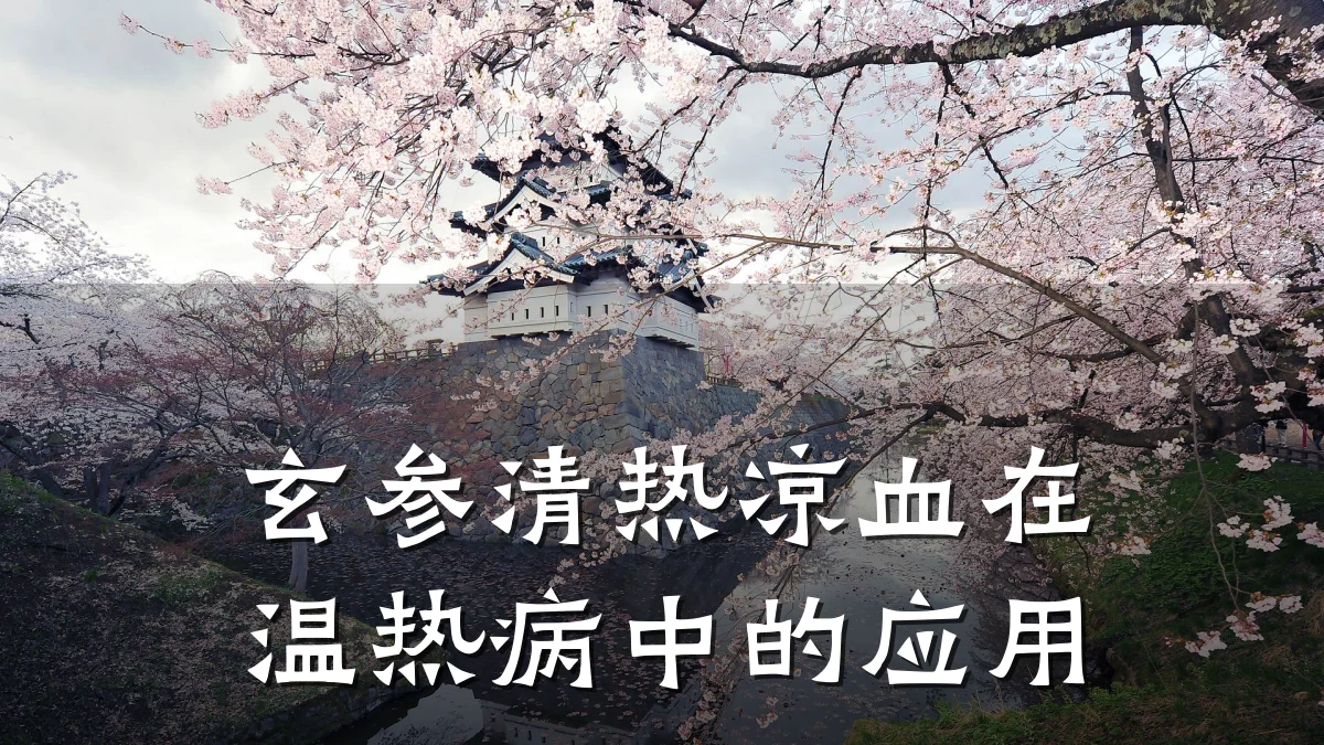 玄参清热凉血在温热病中的应用
