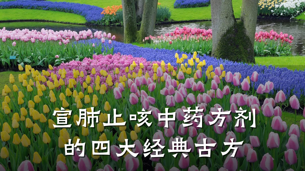 宣肺止咳中药方剂的四大经典古方