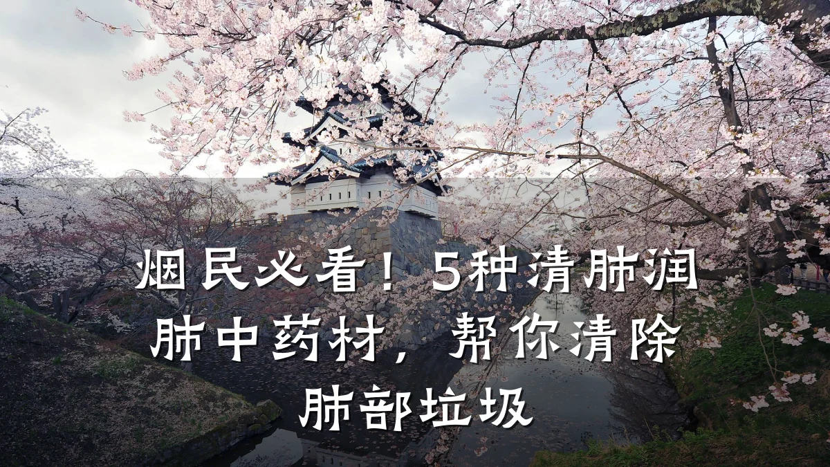 烟民必看!5种清肺润肺中药材,帮你清除肺部垃圾