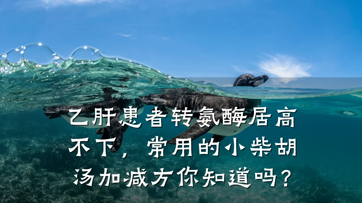 乙肝患者转氨酶居高不下,常用的小柴胡汤加减方你知道吗?