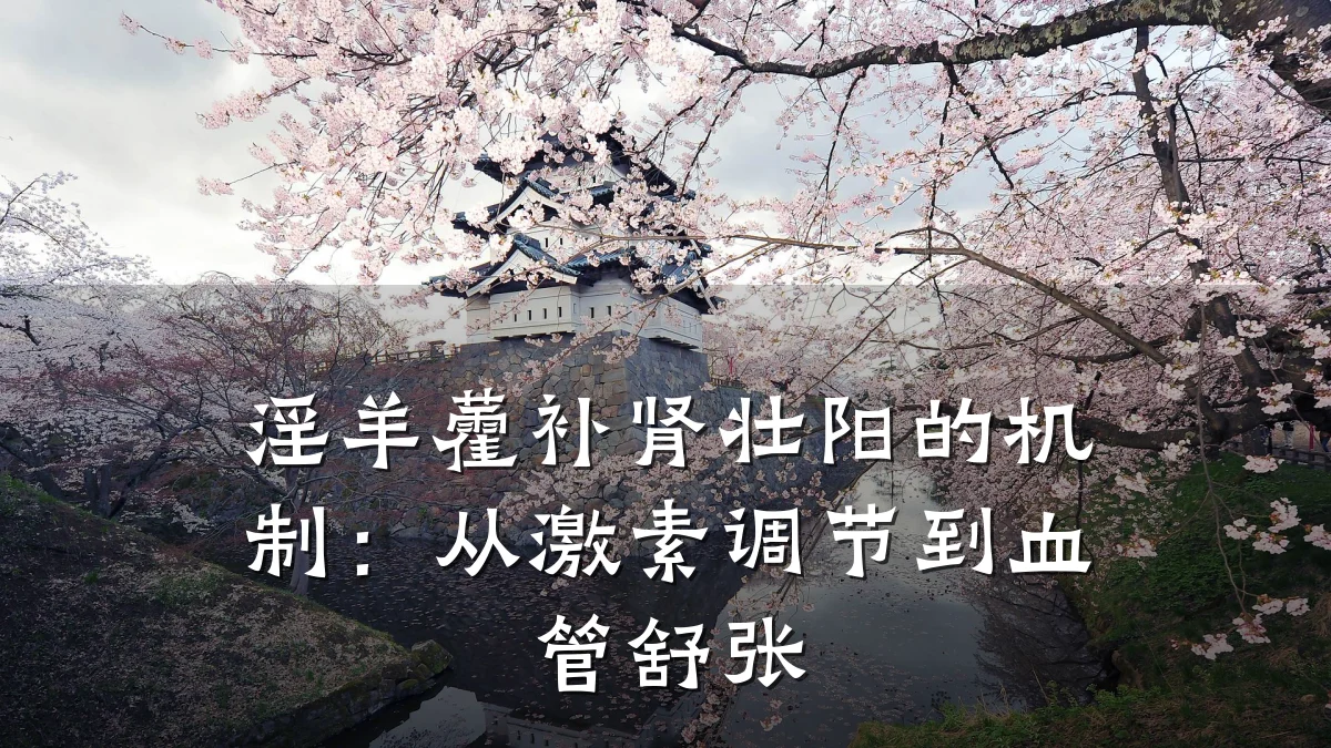 淫羊藿补肾壮阳的机制:从激素调节到血管舒张