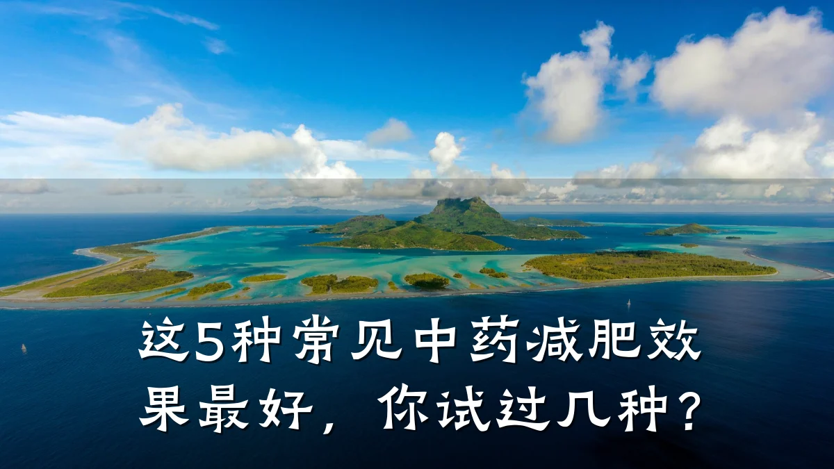 这5种常见中药减肥效果最好，你试过几种？