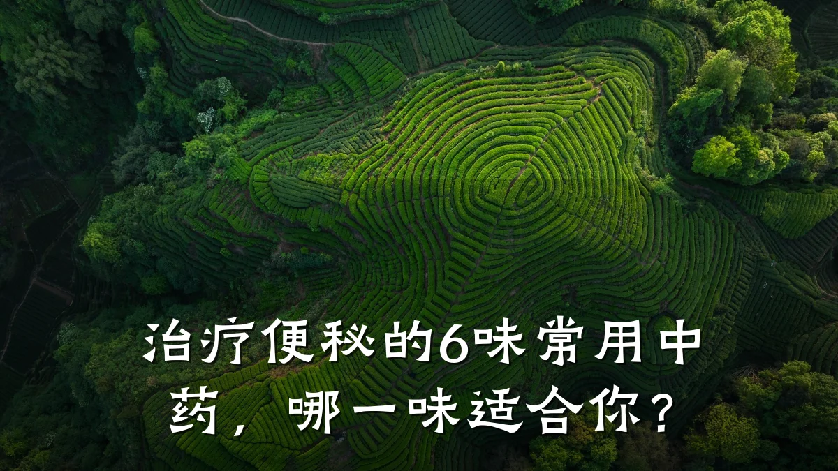 治疗便秘的6味常用中药,哪一味适合你?